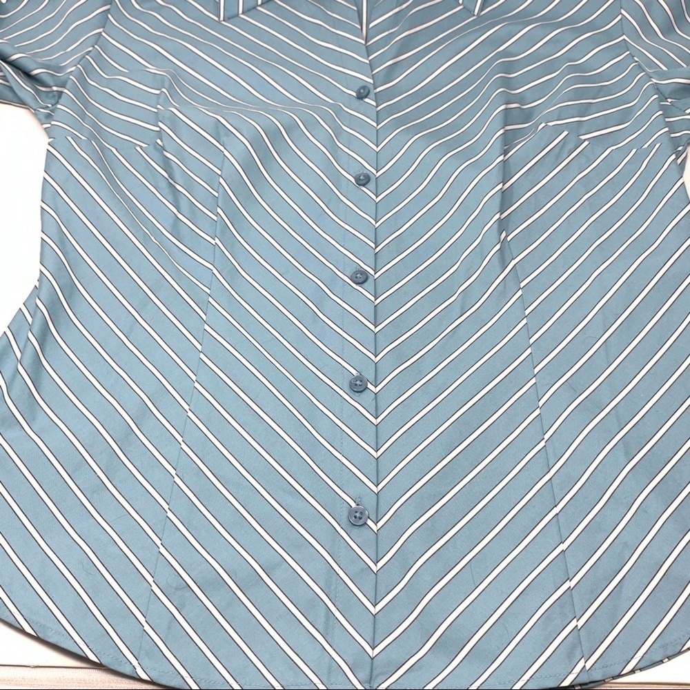 Ann Taylor Loft Classic Sky Blue White Pinstripe Long Sleeve Button Shirt Size 4 - Picture 12 of 13